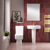 Picture of Neutral Bliss 520mm Basin & Pedestal