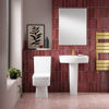 Picture of Neutral Bliss 600mm Basin & Pedestal