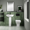 Picture of Nuie Ava 545mm Basin & Pedestal