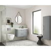 Picture of Nuie Ava Wall Hung Pan & Soft Close Seat
