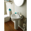 Picture of Neutral Provost 420mm Basin & Pedestal