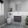 Picture of Neutral Merit 500mm Single Door Wall Hung Vanity and Basin