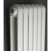 Picture of Neutral Salvia Designer Radiator