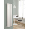 Picture of Neutral Revive Double Panel Double Panel Designer Radiator