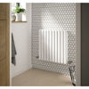 Picture of Neutral Revive Double Panel Horizontal Double Panel Radiator 600 x 586
