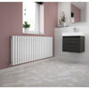 Picture of Neutral Revive Double Panel Horizontal Double Panel Radiator 600 x 1398