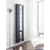 Picture of Neutral Revive With Mirror Double Panel Designer Radiator